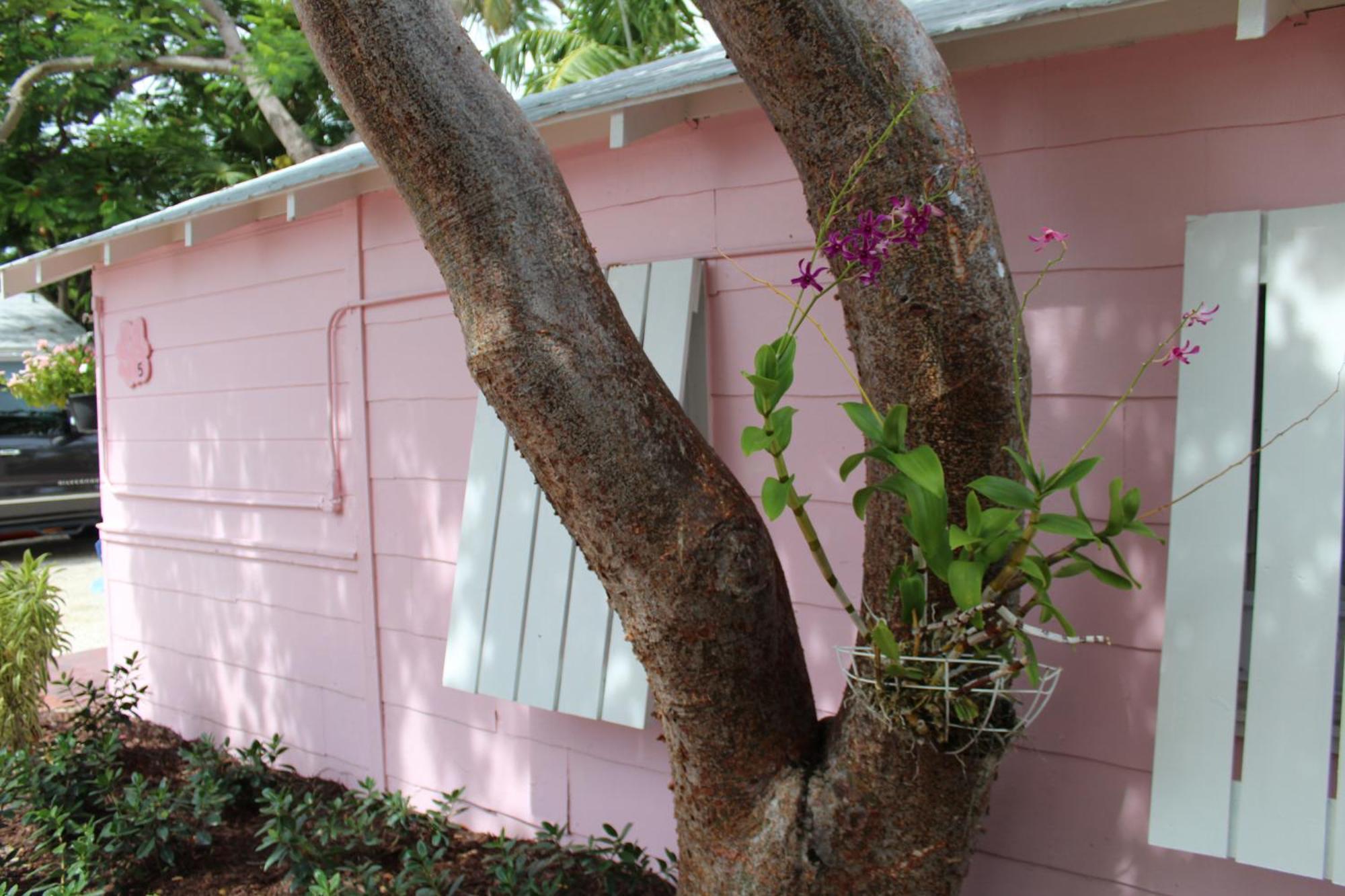Tropical Cottages Маратон Номер фото